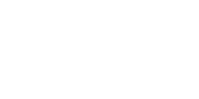 The Safety Network logo